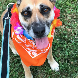 Marycatherine Augustyn